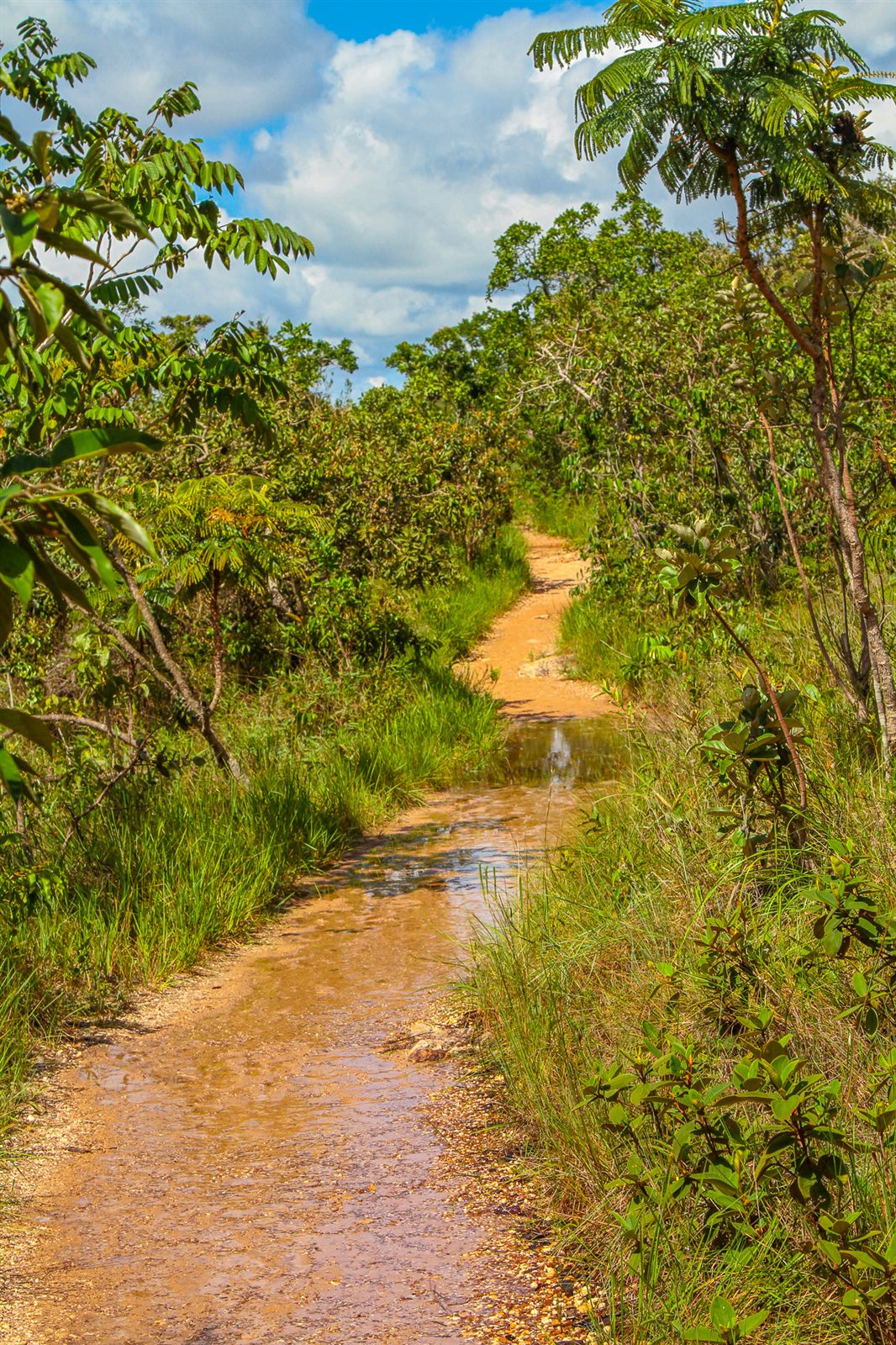 Chapada Indaiá — foto 5