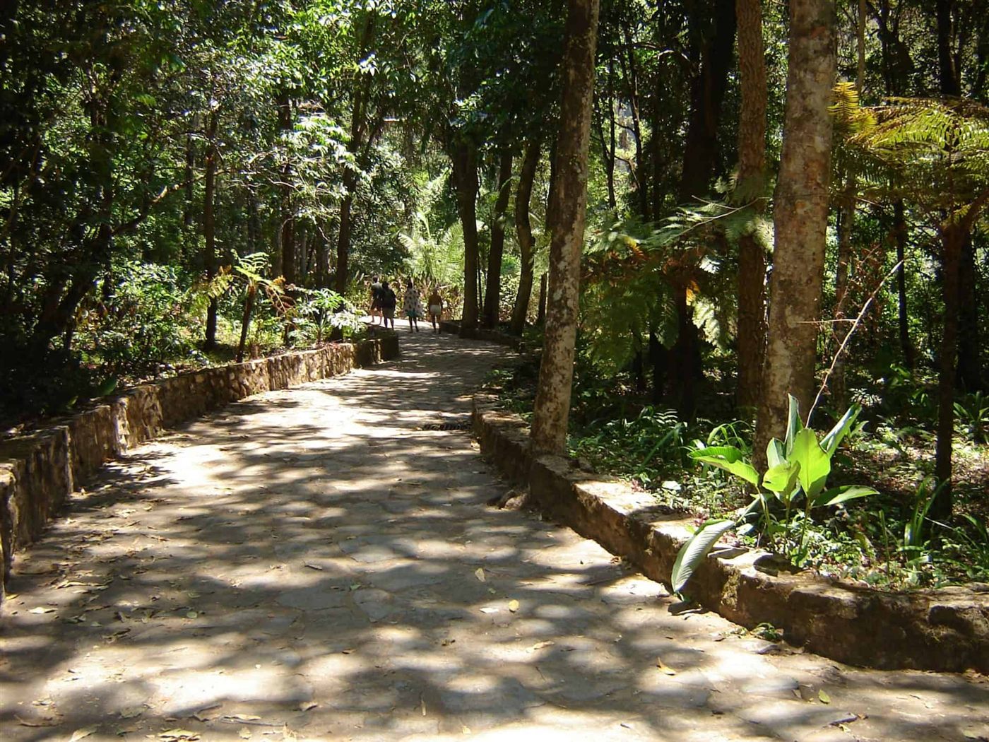 Caminho calçado e sombreado que leva à base do Salto do Itiquira